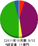 住澤塗装工業 貸借対照表 2011年10月期