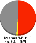 アクアジャパン 損益計算書 2012年9月期