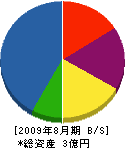 瀬川工業 貸借対照表 2009年8月期