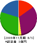 愛奈工業 貸借対照表 2009年11月期
