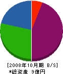 亀井建設 貸借対照表 2008年10月期