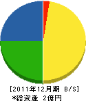 山藤建設 貸借対照表 2011年12月期