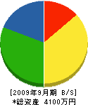 鳥取大成 貸借対照表 2009年9月期