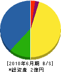 廣澤建設 貸借対照表 2010年6月期