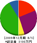 冨岡庭園 貸借対照表 2009年12月期