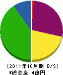 渡辺組 貸借対照表 2011年10月期