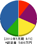 阪井建具製作所 貸借対照表 2012年5月期