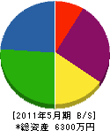 一栄電気工事店 貸借対照表 2011年5月期