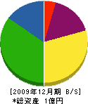 勝賀瀬建設 貸借対照表 2009年12月期