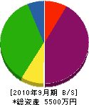 森田組 貸借対照表 2010年9月期