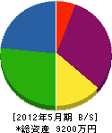 ジャパンクリエイト 貸借対照表 2012年5月期