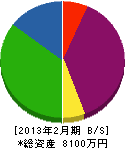 中島タタミ店 貸借対照表 2013年2月期
