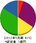 新潟レヂン 貸借対照表 2012年5月期