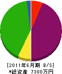 松信建設 貸借対照表 2011年6月期