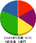 田代硝子店 貸借対照表 2009年5月期