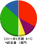 滝沢工務店 貸借対照表 2011年6月期