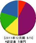 大沢 貸借対照表 2011年12月期
