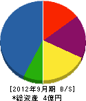 栄光電設 貸借対照表 2012年9月期