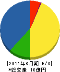武田建設 貸借対照表 2011年6月期