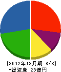 朝陽電気 貸借対照表 2012年12月期