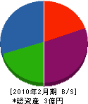 小坂電気商会 貸借対照表 2010年2月期