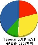中田電気工事店 貸借対照表 2009年12月期