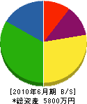 澤田工務店 貸借対照表 2010年6月期