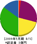 勝川建設 貸借対照表 2009年5月期