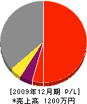 石塚電気 損益計算書 2009年12月期