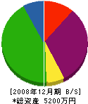 石田建設 貸借対照表 2008年12月期