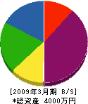 横尾木工所 貸借対照表 2009年3月期
