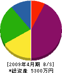 石川工務店 貸借対照表 2009年4月期