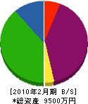 浅川興産 貸借対照表 2010年2月期