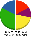 三昭土木 貸借対照表 2012年3月期