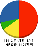 三芳野商会 貸借対照表 2012年3月期