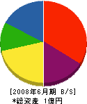 平田組 貸借対照表 2008年6月期