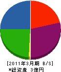 寺田電機工業 貸借対照表 2011年3月期