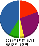 高崎松風園 貸借対照表 2011年6月期