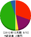 千代田建工 貸借対照表 2012年12月期