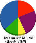 永島建設 貸借対照表 2010年12月期