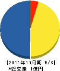 西澤 貸借対照表 2011年10月期