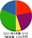 ハヤシ電工 貸借対照表 2011年9月期