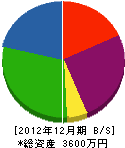 丸雄土木 貸借対照表 2012年12月期