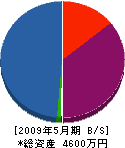 秋山工業 貸借対照表 2009年5月期