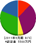 辻中組 貸借対照表 2011年9月期