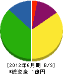 浜田電機 貸借対照表 2012年6月期
