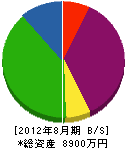 岩津電気商会 貸借対照表 2012年8月期