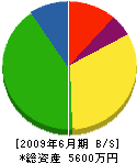 岩井土建 貸借対照表 2009年6月期