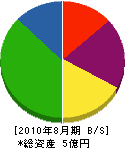 カネヤマ 貸借対照表 2010年8月期
