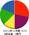松崎工務店 貸借対照表 2012年12月期